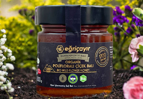 EĞRİÇAYIR ORGANİK POLİFLORALI (ÇOK ÇİÇEKLİ) BAL 300g