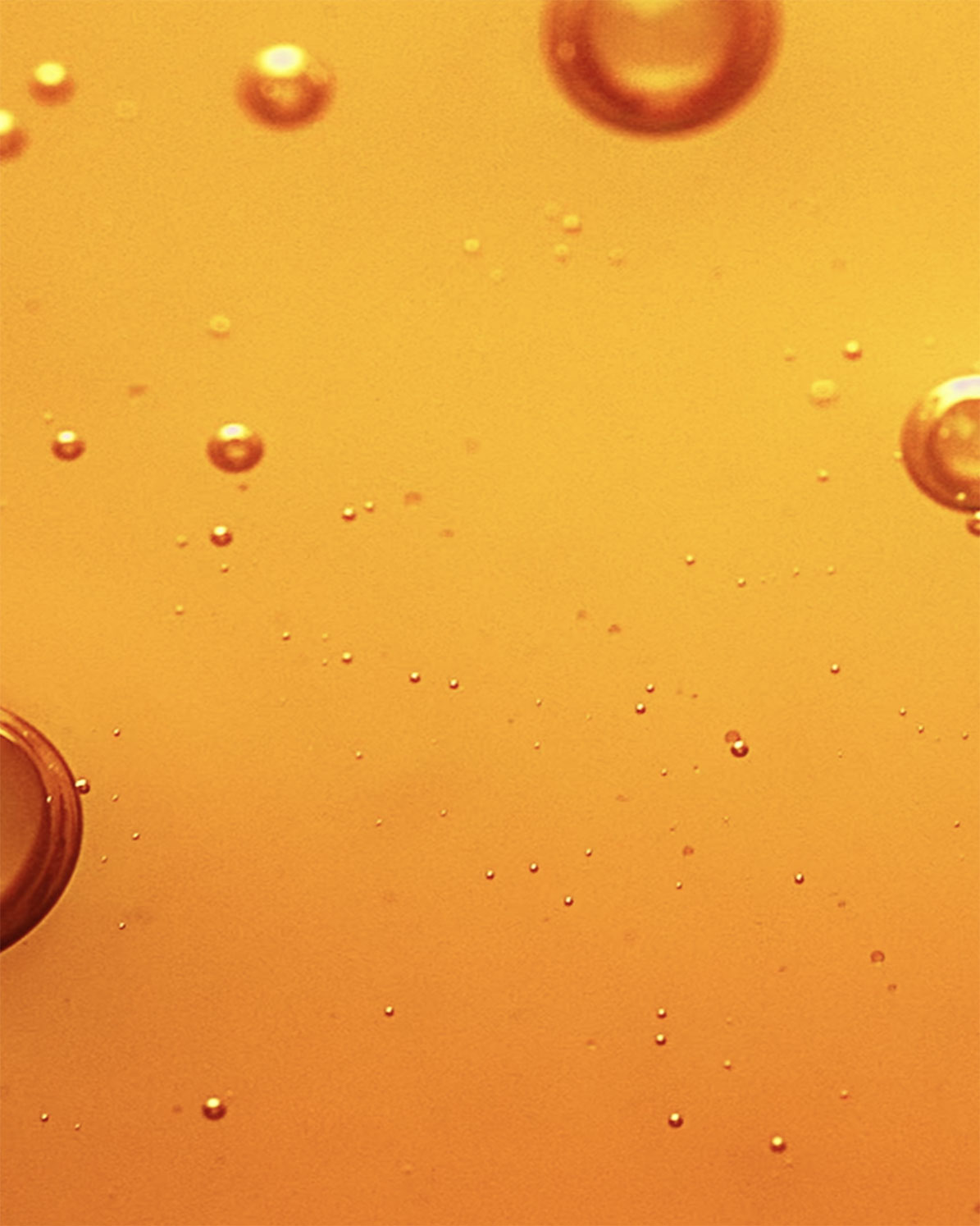 Kaynağı Belli Özenle Seçilmiş Bileşenler