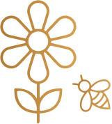 Yoğun bal lezzeti, Çiçeksi koku.