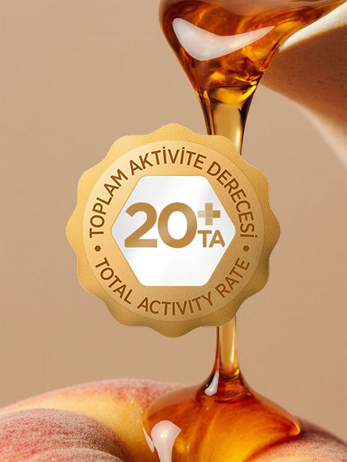 Toplam Aktivite Değeri