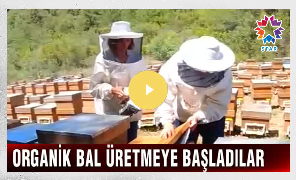 StarTV - Bir Megakentten Kaçış Hikayesi