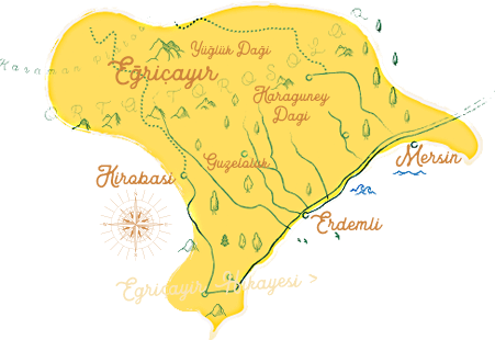Kestane Balı, Propolis, Polen, Arı Sütü, Keçiboynuzu Pekmezi, Organik Bal - Egricayir.com