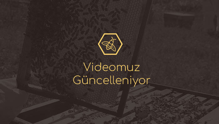 Eğriçayır Video