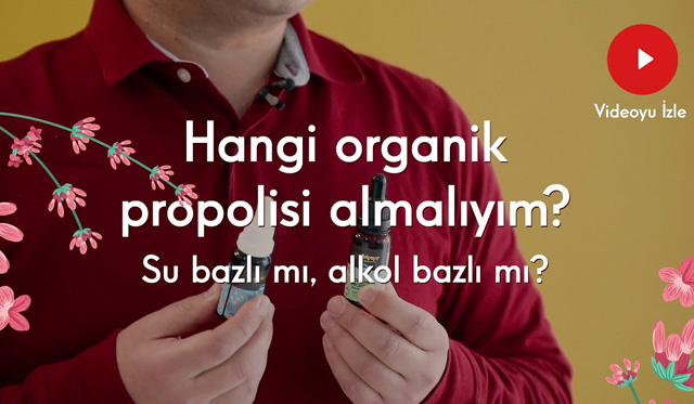 Hangi organik propolisi kullanmalıyım? Su bazlı mı, alkol bazlı mı?
