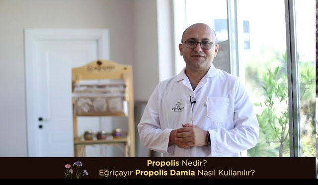 Propolis nedir? Eğriçayır propolis damla nasıl kullanılır?