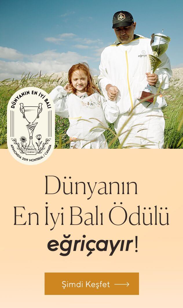 Dünya nın En İyi Balı