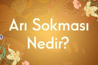 Arı Sokması Nedir? Arı Neden Sokar?