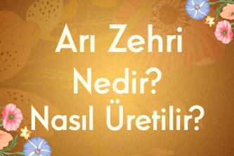 Arı Zehri Nedir? Nasıl Üretilir?