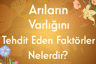 Arıların Varlığını Tehdit Eden Faktörler Nelerdir?