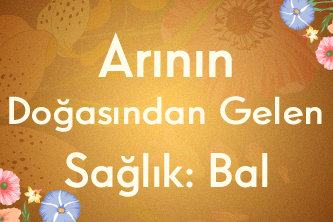 Arının Doğasından Gelen Sağlık: Bal