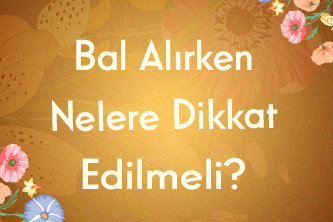 Bal Alırken Nelere Dikkat Edilmeli?