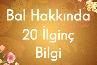 Bal Hakkında 20 İlginç Bilgi