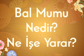 Bal Mumu Nedir? Bal Mumu Ne İşe Yarar?