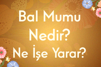 Bal Mumu Nedir, Ne İşe Yarar?