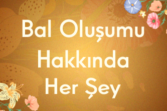 Bal Oluşumu Hakkında Her Şey