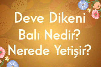 Deve Dikeni Balı Nedir? Nerede Yetişir?