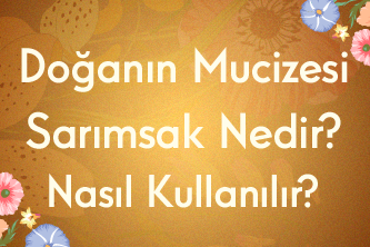 Doğanın Mucizesi Sarımsak Nedir? Nasıl Kullanılır?