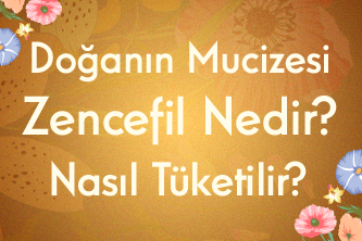 Doğanın Mucizesi Zencefil Nedir? Nasıl Tüketilir?