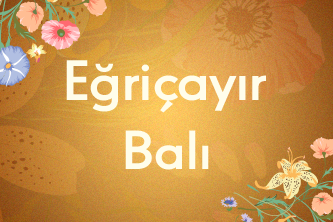 Eğriçayır Balı