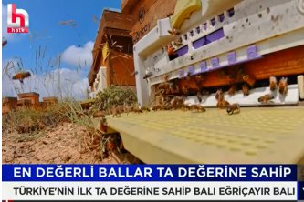  Halk TV - En Değerli Ballar TA Değerine Sahip 28.02.2023