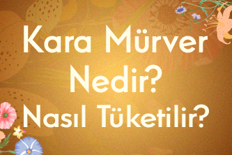 Kara Mürver Nedir? Nasıl Tüketilir?