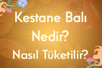 Kestane Balı Nedir? Kestane Balı Nasıl Tüketilir?