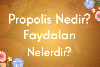 Propolis Nedir? Faydaları Nelerdir?