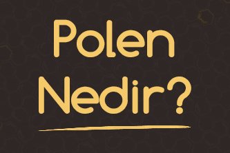 Polen Nedir ve Nasıl Toplanır? 