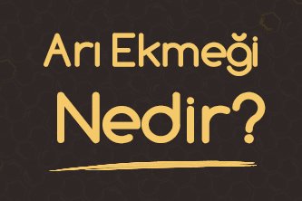 Arı Ekmeği (Perga) Nedir?