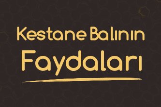 Kestane Balının Faydaları ve Özellikleri 