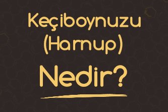 Keçiboynuzu (Harnup) Nedir? 