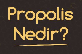 Propolis Nedir?