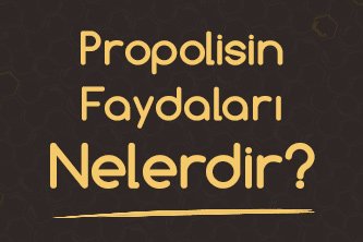 Propolisin Faydaları Nelerdir?