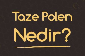 Taze Polen Nedir?