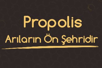 Propolis Arıların Ön Şehridir