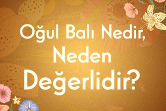 Oğul Balı Nedir, Neden Değerlidir?