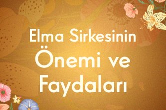 Elma Sirkesinin Önemi ve Faydaları