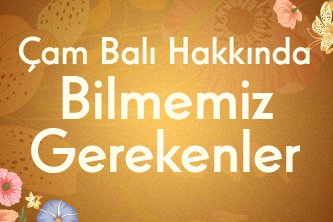 Çam Balı Hakkında Bilmemiz Gerekenler