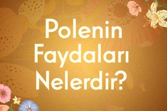 Polenin Faydaları Nelerdir? Arı Polenin Özelliği ve Önemi