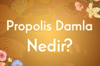 Propolis Damla Nedir?