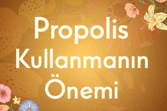 Propolis Kullanmanın Önemi 