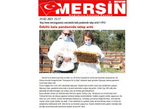 Mersin Gazetesi - 24.02.2021