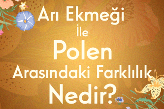 Arı Ekmeği ile Polen Arasındaki Farklılık Nedir?