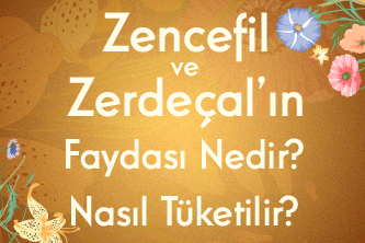 Zencefil ve Zerdeçal ın Faydası Nedir? Nasıl Tüketilir?