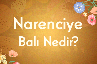 Narenciye Balı Nedir?