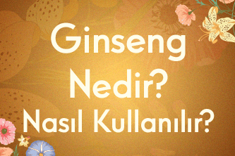 Ginseng Nedir? Nasıl Kullanılır?