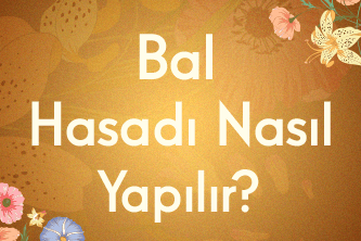 Bal Hasadı Nasıl Yapılır?