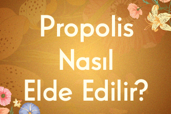 Propolis Nasıl Elde Edilir?