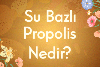 Su Bazlı Propolis Nedir ve Nasıl Kullanılır?