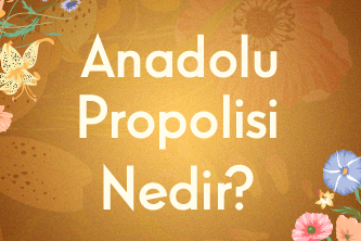 Anadolu Propolisi Nedir?